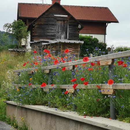 Ferienhaus Raumberg Zewnętrze zdjęcie
