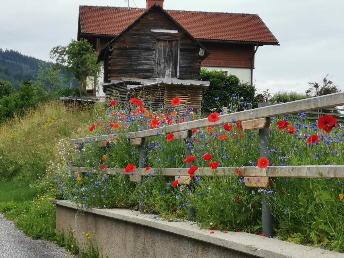 Ferienhaus Raumberg Zewnętrze zdjęcie